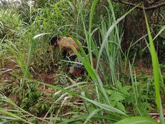 -杭州半山国家森林公园