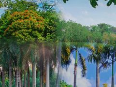 -中国科学院西双版纳热带植物园