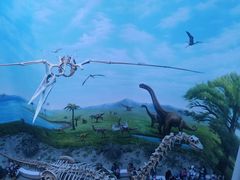 -辽宁古生物博物馆