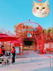 -大美儿童世界(奥林匹克水上公园店)