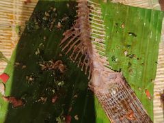 -金塔傣乡·德宏傣味·手抓饭·孔雀宴·云南民族特色菜(文化巷店)