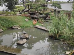 -得丘礼享谷·玉兰苑