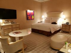 -拉斯维加斯永利酒店