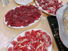 -原野牛肉岛
