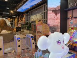 -卡通尼·Safari非洲探索乐园·生日会(金桥国际商业广场店)