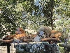 -北京野生动物园