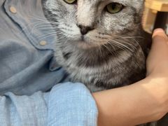 -猫腻·猫咖·撸猫馆(星光大道店)