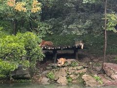 -宁波野生动物园