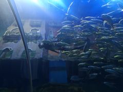 -华夏文旅海洋公园