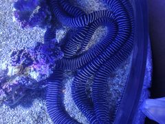 -波塞冬海底世界