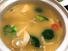 -四季春
