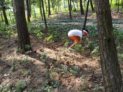 -铁山坪森林公园