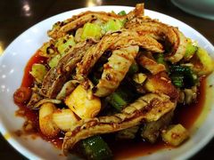 -天一沾水肥肠(科园一街店)