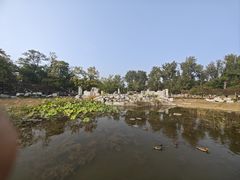 -福茂源横山铁锅羊肉(牡丹园店)