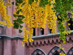 -LESCEDARS Brasserie Bistro香柏树