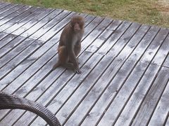 -苏州环秀晓筑养生度假村