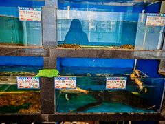 菜单-华盛丰温州大排档(东三环南路店)