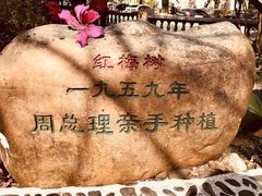 -广东温泉宾馆