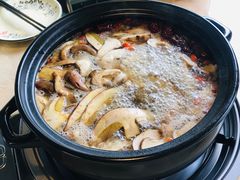 -蘑统田下·野生菌火锅