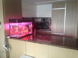 -巍阁高端月子会所