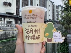 -猫的魔法密林(衣裳街店)
