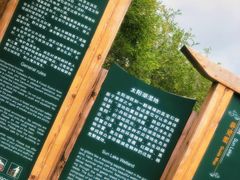 -御道口草原森林风景区