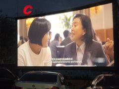 -枫花园汽车电影院(朝阳公园店)