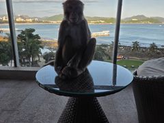 -三亚绿发山海天JW万豪酒店