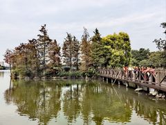 -海珠湖公园