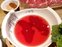 -青瓷火锅料理(西单大悦城店)