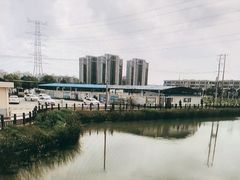 -光明驾校·学车·陪驾(杨浦店)