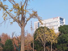 -东华大学(松江校区)