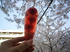 -涩谷区