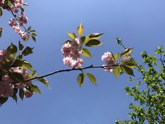 -昆山城市生态森林公园