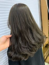 -环球蝶上美业连锁
