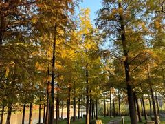 -浙江大学(海宁国际校区)