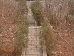-白水寺森林公园