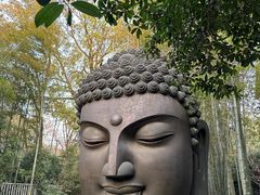 -杭州植物园
