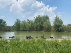 -西山漾湿地公园