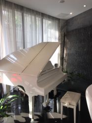 -比华利美容医院