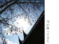 -苏州文庙(姑苏区)