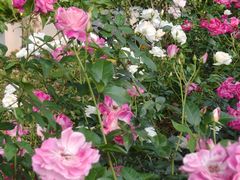 -人民公园(罗湖区)