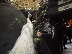 -滇野云南野生菌餐厅(陕西南路店)