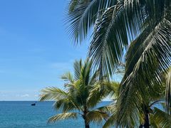 -日落吧·海景咖啡厅·餐酒吧·鸡尾酒·下午茶·乐队表演·浪漫夕阳·三亚文华东方酒店