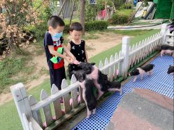 -萌宠亲子动物乐园(槐房万达店)