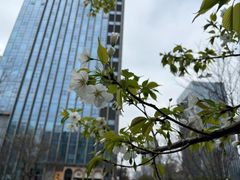 -满镒财税·注册公司·代理记账(徐汇店)