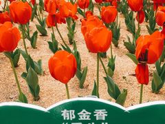 -江南大学(蠡湖校区)