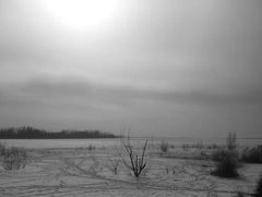 -北京市海淀外国语实验学校