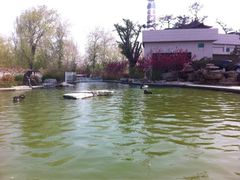 iphone_upload_pic-山东大厦