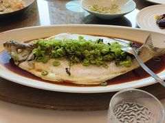 -上海总会SHANGHAICLUB(兴业太古汇店)